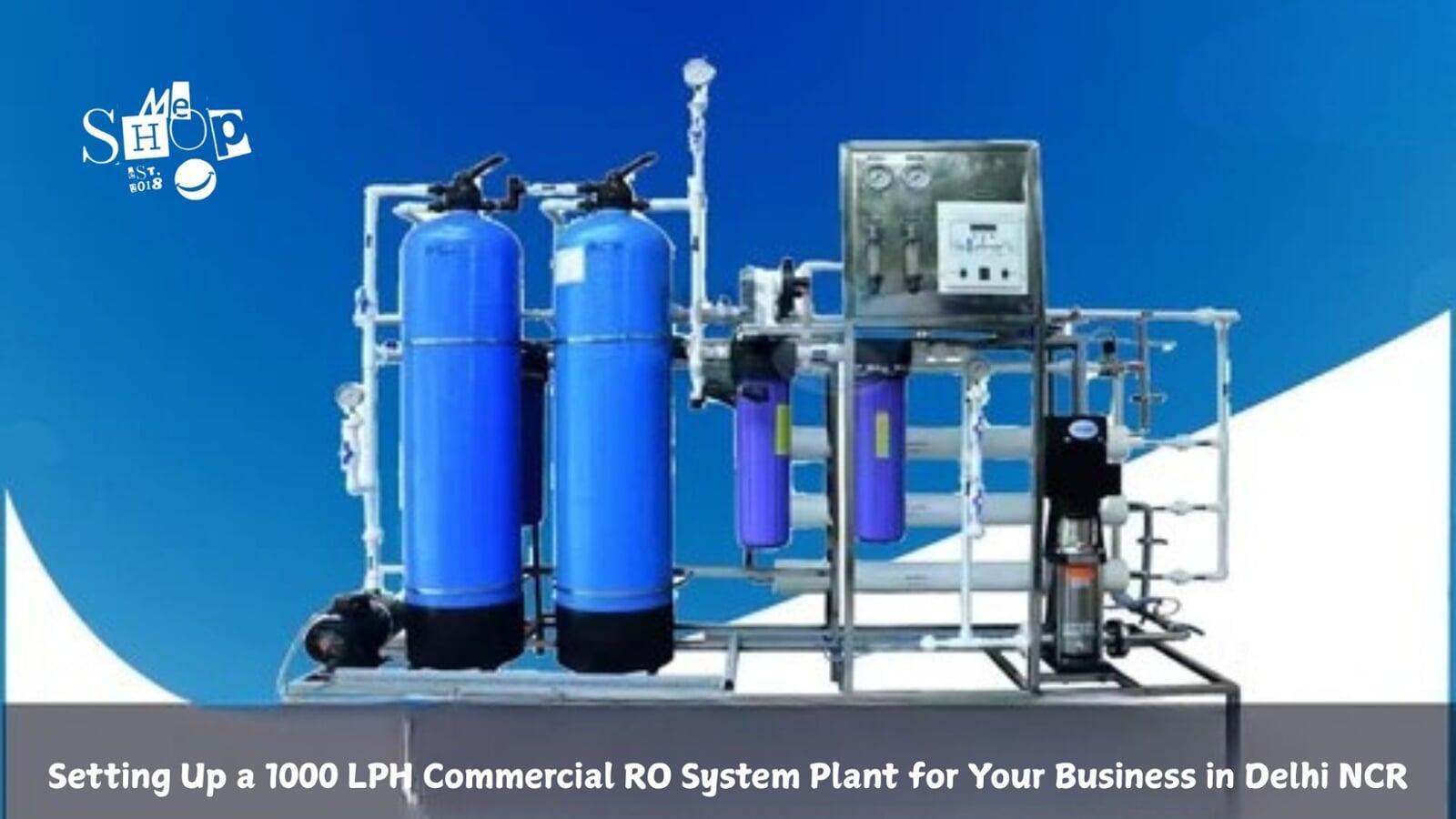 SETTING UP A 1000 LPH COMMERCIAL RO SYSTEM PLANT FOR YOUR BUSINESS IN DELHI NCR